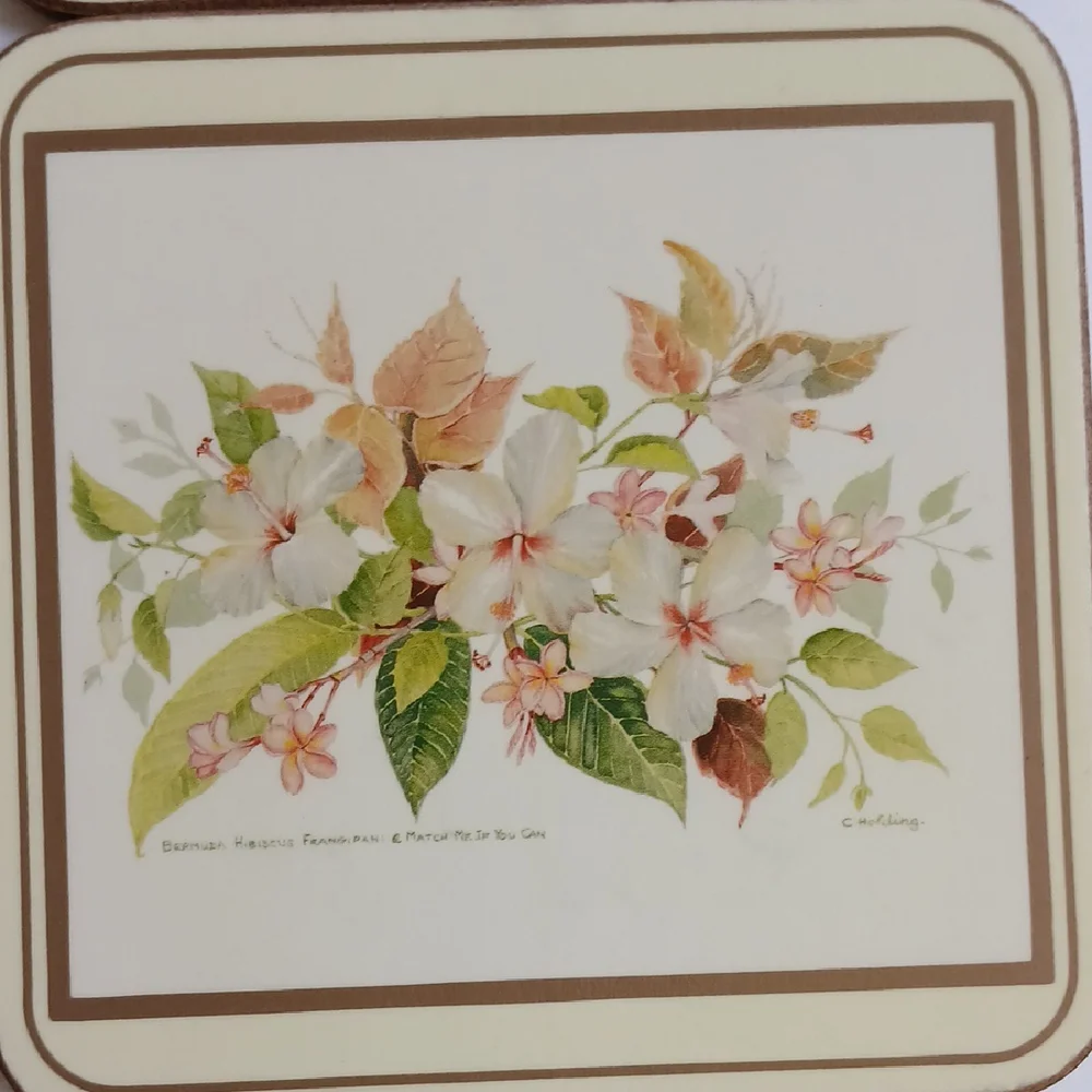 Vintage Pimpernel Bermuda White Hibiscus 6 coasters with box
